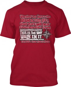 This is the way Walk in it T-Shirt